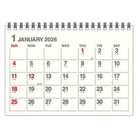 【2026年度版カレンダー】新日本カレンダー B6卓上 アイボリー EDCー4812 1冊