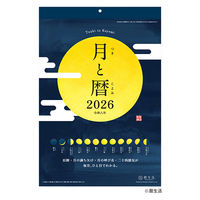 y2026NxŃJ_[zV{J_[ Ɨ 8943 1