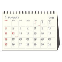 【アウトレット】【2026年度版カレンダー】アートプリントジャパン 26CL/007 DAYSTATION B6 卓上（アイボリー） 1冊