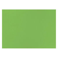 北越コーポレーション 色画用紙 やよいカラー 四切 わかくさ 410-208 1袋（10枚）（わけあり品）