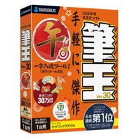 ソースネクスト 筆王Ver.30 法人・官公庁・教育機関向け1台用 0000355830 1個