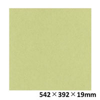 リンテック 色画用紙 ニューカラーR 八切 やなぎ NCR1068 1包（100枚入）（わけあり品）