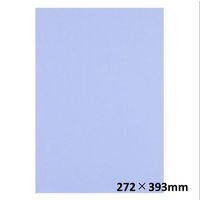 アスクル 色画用紙 ふじ 八つ切り 1袋(100枚入) オリジナル（わけあり品）