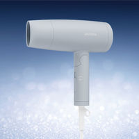 SALONIA（サロニア） スピーディーイオンドライヤー アイスグレー  I-ne