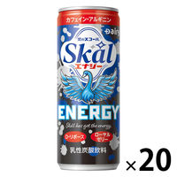 南日本酪農協同 スコールエナジー 250ml 1箱（20缶入）