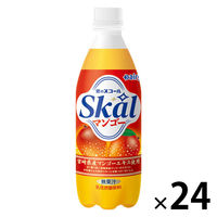 南日本酪農協同 スコールマンゴー 500ml 1箱（24本入）