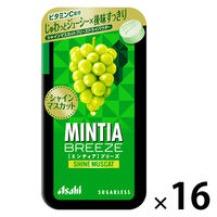 タブレット ミンティア ブリーズ シャインマスカット 1セット（1個×16）