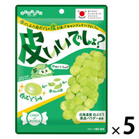 キャンディー 飴 皮いいでしょ？ 65g 1セット（1個×5）
