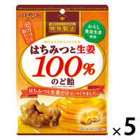 キャンディーのど飴 はちみつと生姜100％のど飴 50g 1セット（1個×5）