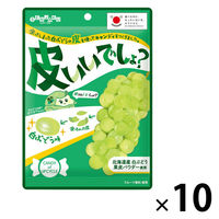 キャンディー 飴 皮いいでしょ？ 65g 1セット（1個×10）