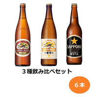 ビール 瓶ビール アソート 3種飲み比べセット 大瓶 大ビン 633ml 1セット(6本)