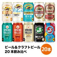 ビール クラフトビール アソート ビール＆クラフトビール 10種飲み比べセット 350ml 1セット(20本)