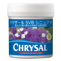クリザール・ジャパン クリザールSVBシニュアタ/250タブレット 167-3366-0 1セット（直送品）