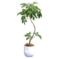 ミュールミル 【鉢付き】　フェイクグリーン　シェフレラポットS 人工樹木 観葉植物 UVM-001 1本（直送品）