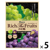 キャンディ 飴 のど飴 リッチザフルーツのど飴 濃いぶどう＆マスカット 58g 1セット（1個×5）