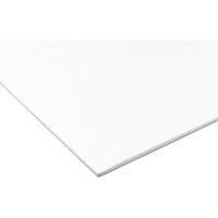 アクリサンデー 発泡スチレンボード HS-K100 B2-5MM 1枚 195-5419（直送品）