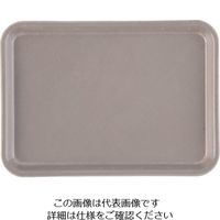 キャンブロ（CAMBRO） カムトレー（FRP）