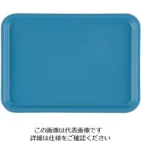 CAMBRO カムトレー(FRP) ロビンエッグブルー 57 1個 62-6520-29（直送品）