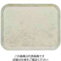 CAMBRO カムトレー(FRP) アンチークパーチメントシルバー 1622 1個 62-6520-76（直送品）