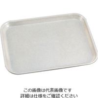 キャンブロ（CAMBRO） TKG軽量タイプカムトレー アンチークパーチメント