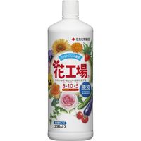 ZFw| ԍHꌴt1200ml 4975292603894 1Zbg(12{)iij