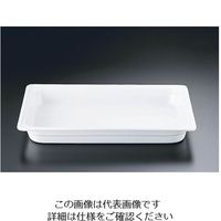 遠藤商事 メイフェア ECガストロノームディッシュ 1/1 65mm EPA208 62-6658-15 1個（直送品）