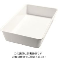 カーライルフードサービスプロダクツ バルサム ガストロノームディッシュ 55524 1/1×H100mm 62-6667-26 1個（直送品）