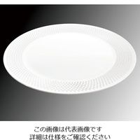 遠藤商事 KINGO 網目模様 丸プレート 小 62-6679-88 1個（直送品）