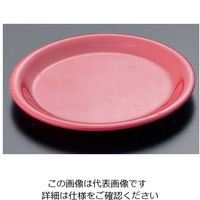 カーライルフードサービスプロダクツ カーライル シーラス パイププレート 33008 レッド 62-6668-17 1個（直送品）