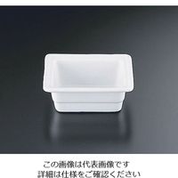 遠藤商事 TKG ガストロノームディッシュ 1/6 100mm 62-6672-63 1個（直送品）