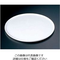 ミヤザキ食器 グランデビアンカ フラットプレート GB2056 (L) 62-6673-94 1枚（直送品）