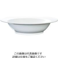 イーファイ メラミン ディドボール(ワイドリム) MEDB-207515 1枚 62-6674-40（直送品）