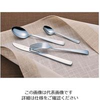 遠藤商事 DOーEN18ー8ライラック ティースプーン 62-6706-46 1本（直送品）