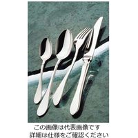 サクライ 20-20エメロード アイスクリームスプーン 1本 62-6708-91（直送品）