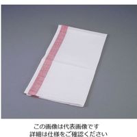 遠藤商事 トーション（10枚入） SE2400