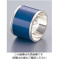 トーダイ ヘラス ナフキンリング ブルー 62-6760-71 1個（直送品）