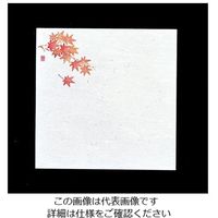 アーテック 遠赤抗菌和紙 花ごよみ懐敷(200枚入) もみじ W5-7 1ケース(200枚) 62-6781-71（直送品）