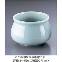 アズワン 青磁 骨入れ