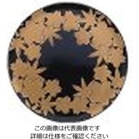 若泉漆器 寿司皿 黒春秋 1-504-9 1枚 62-6797-77（直送品）