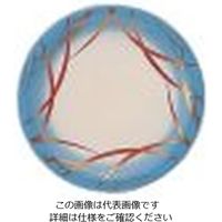 若泉漆器 寿司皿 62-6797