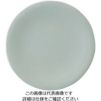 若泉漆器 寿司皿 青磁 1ー508ー1 62-6797-82 1枚（直送品）