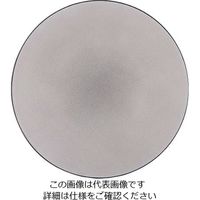 Revol エキノクス ディナープレート 28cm ペッパー 649497 1枚 62-6821-48（直送品）