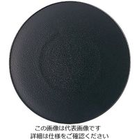 Revol エキノクス デザートプレート 21.5cm キャストアイアン 649495 1枚 62-6821-52（直送品）