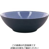 Revol エキノクス クーププレート 19cm シーラス・ブルー 649579 1枚 62-6821-62（直送品）