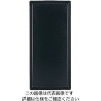Revol エキノクス レクタンギュラープレート キャストアイアン 649566 1枚 62-6821-67（直送品）
