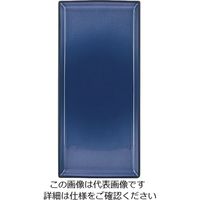 Revol エキノクス レクタンギュラープレート シーラス・ブルー 649568 1枚 62-6821-68（直送品）