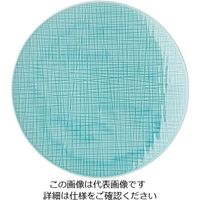 ローゼンタール RT メッシュ ラウンドプレート27cmフラット 10867 1枚 62-6827-49（直送品）