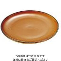 遠藤商事 マトファ陶磁器 丸皿 φ200mm 10061 1個 62-6824-18（直送品）