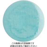 ローゼンタール RT メッシュ ラウンドプレート24cmフラット 10864 1枚 62-6827-50（直送品）