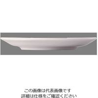 ローゼンタール RT ニド 兼用ソーサー 10920-34636 1枚 62-6828-57（直送品）